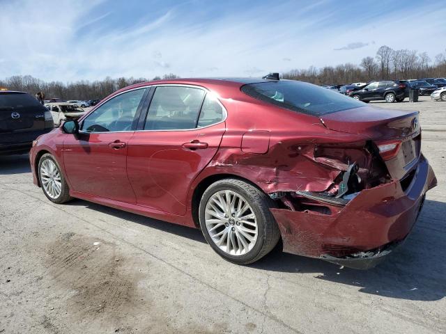 2019 TOYOTA CAMRY L - 4T1B11HK3KU704167