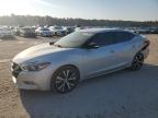 2017 NISSAN MAXIMA 3.5 - 1N4AA6AP8HC456926