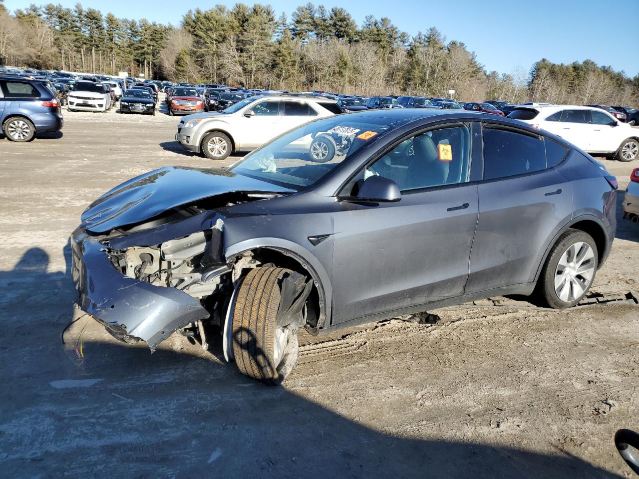 TESLA MODEL Y