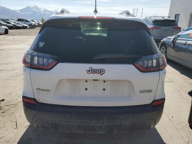 2019 JEEP CHEROKEE L - 1C4PJMLB3KD437387