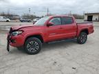2023 TOYOTA TACOMA DOU - 3TMCZ5AN1PM614833