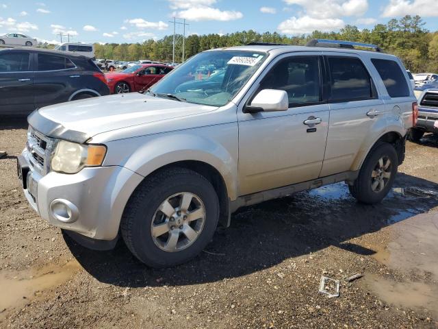 Global Auto Auctions: 2010 FORD ESCAPE LIM