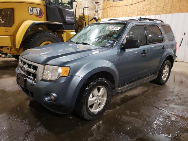 Vin: 1fmcu0d76akc67587, lot: 49356215, ford escape xlt 2010 img_1