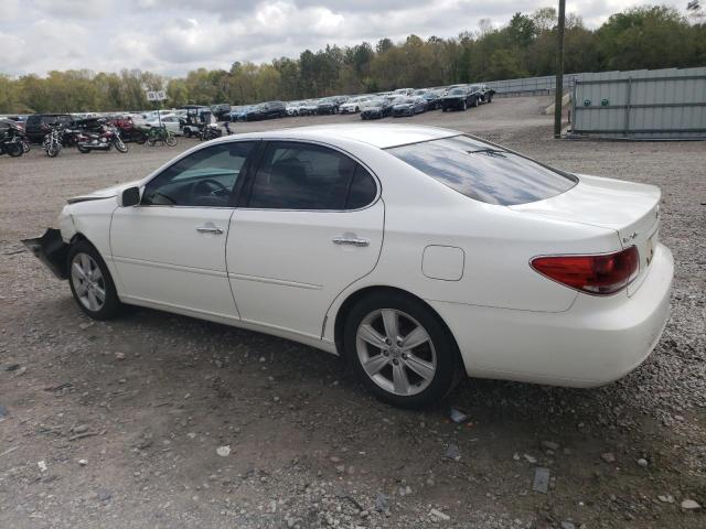 LEXUS ES 330 2005 white  gas JTHBA30G155118538 photo #3