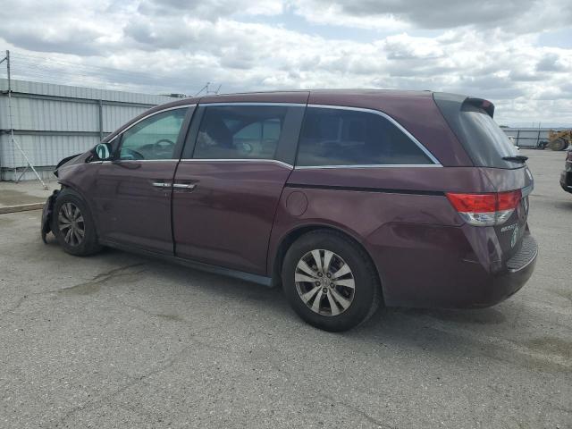 Vin: 5fnrl5h61fb061372, lot: 50944935, honda all models exl 20152