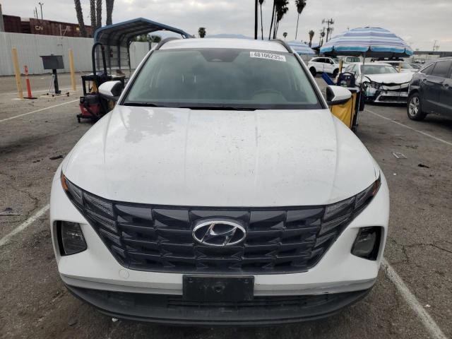 2024 HYUNDAI TUCSON BLU KM8JBCD14RU228460