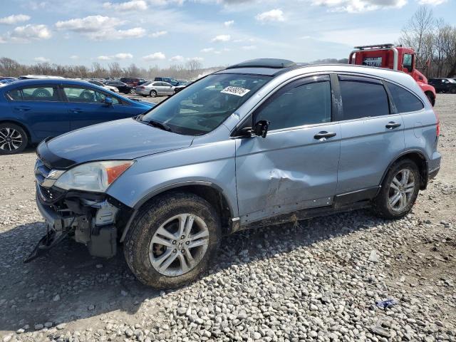 Vin: 5j6re4h51al006156, lot: 50499315, honda crv ex 2010 img_1