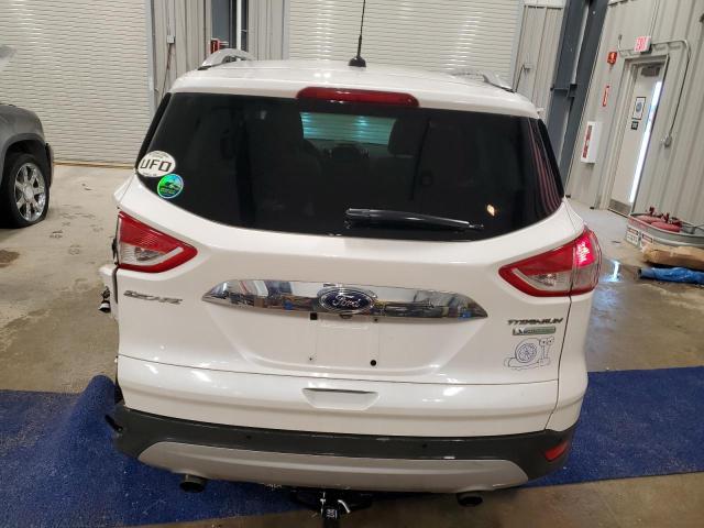 2014 FORD ESCAPE TIT - 1FMCU0J90EUD98174