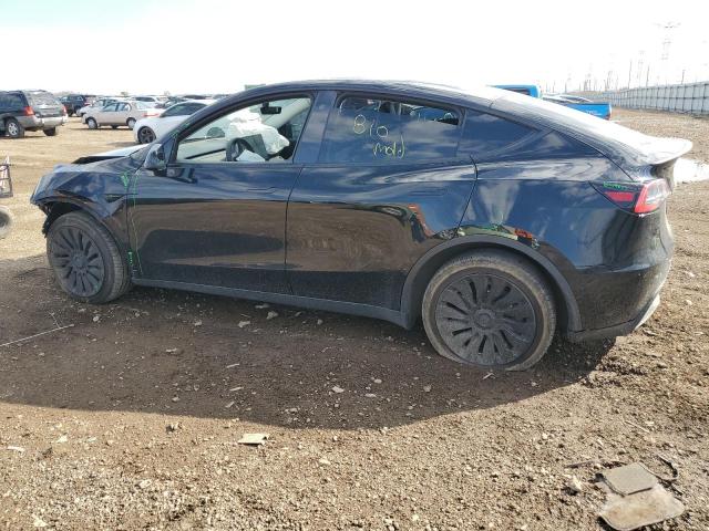 2021 TESLA MODEL Y 5YJYGDEE1MF081706