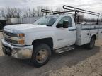 1GB3KYCG8HZ367545 CHEVROLET SILVERADO Photo 1