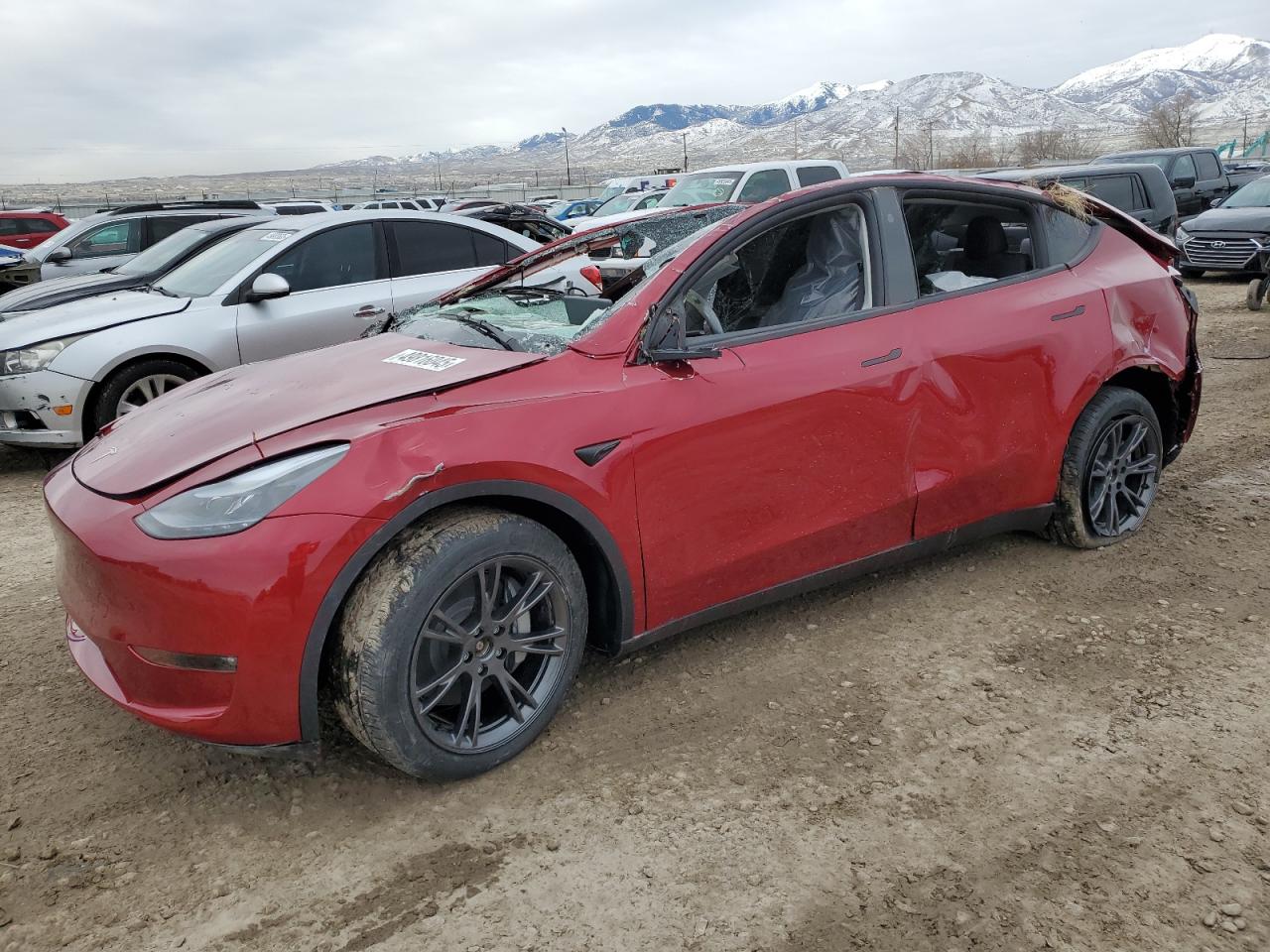 2025 TESLA MODEL Y , VIN: 7SAYGAEE4SF298925