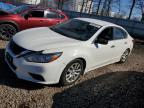 Top Destinations for Shipping Cars from the USA