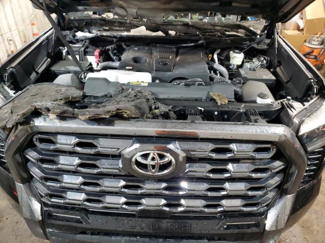 2024 TOYOTA TUNDRA CRE - 5TFNA5DB2RX199813