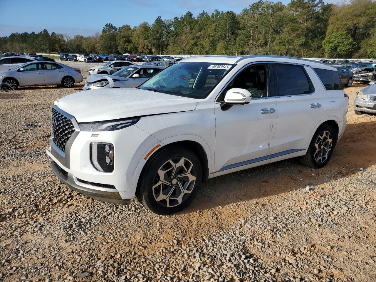 HYUNDAI PALISADE CALLIGRAPHY