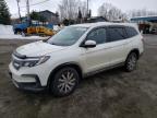 2019 HONDA PILOT EXL - 5FNYF6H55KB059120