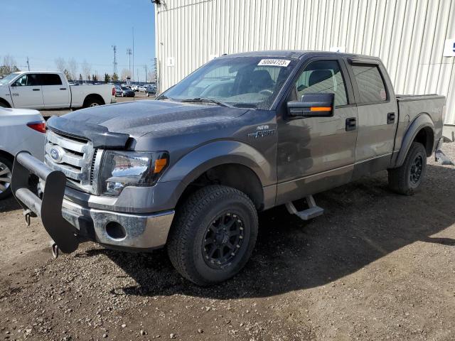 Salvage cars for sale from Copart Rocky View County, AB: 2011 Ford F150 Supercrew
