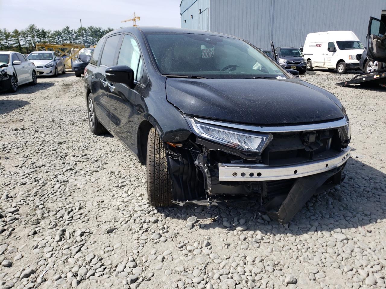 5FNRL6H7XMB013509 HONDA All Models 2021