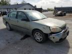 Lot #2720715046 2004 CHEVROLET MALIBU