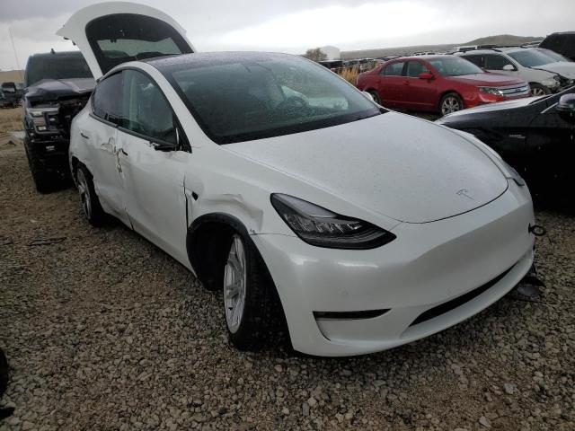 5YJYGDEE4MF181928 Tesla Model Y