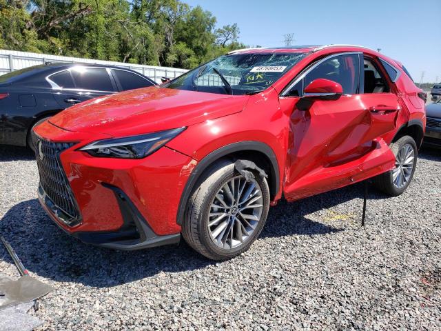 2023 LEXUS NX 350 - 2T2GGCEZ4PC017009