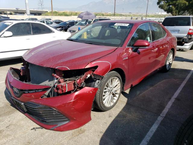 2019 Toyota Camry Hybrid 