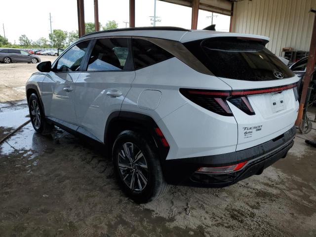 2022 HYUNDAI TUSCON KM8JBCA1XNU020310