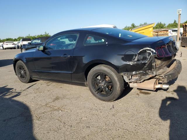 1ZVBP8AM9E5271974 Ford MUSTANG