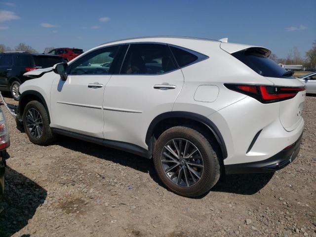 2022 LEXUS NX 350 - 2T2GGCEZ1NC001881