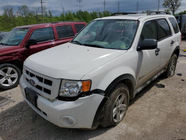 2010 Ford Escape Hybrid