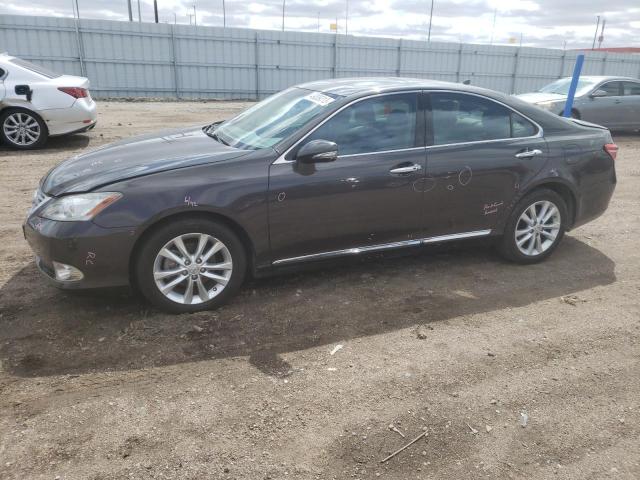 2010 Lexus ES 350 