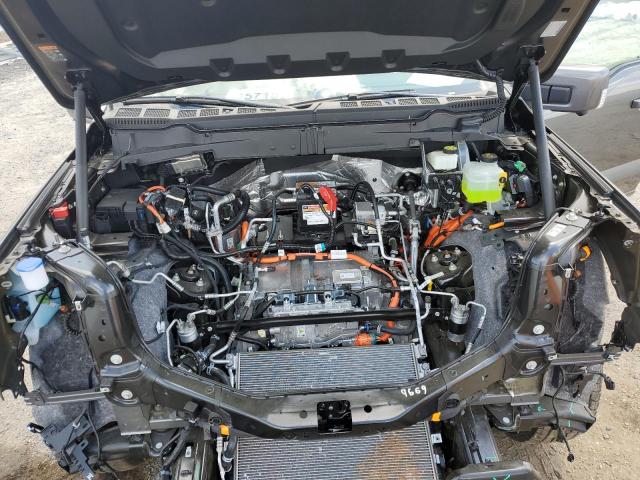 2023 FORD F150 LIGHT 1FTVW1EV6PWG04674