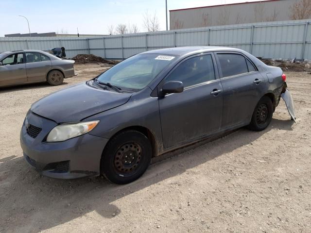 Salvage cars for sale from Copart Bismarck, ND: 2010 Toyota Corolla Base