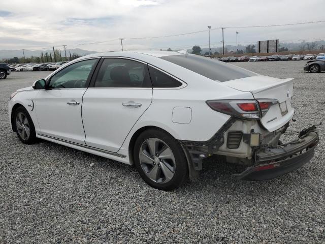 KMHE54L21HA045039 | 2017 HYUNDAI SONATA PLU