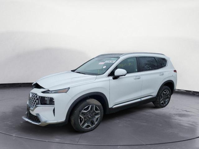 2023 HYUNDAI SANTA FE L - 5NMS4DAL5PH532643