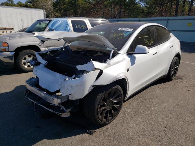 5YJYGDEE5MF262503 Tesla Model Y 