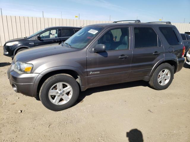 2006 Ford Escape 