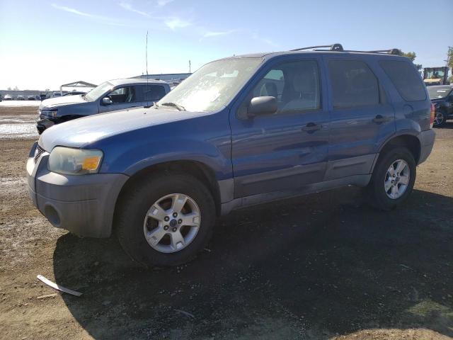 2007 Ford Escape XLT