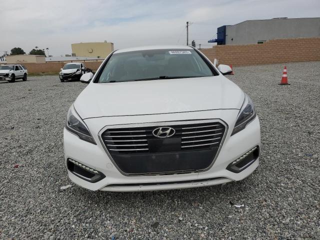 KMHE54L21HA045039 | 2017 HYUNDAI SONATA PLU