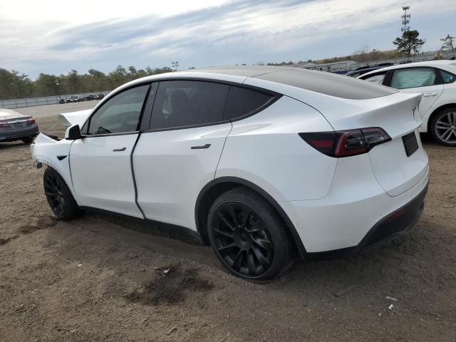 5YJYGDEE5MF262503 Tesla Model Y  2