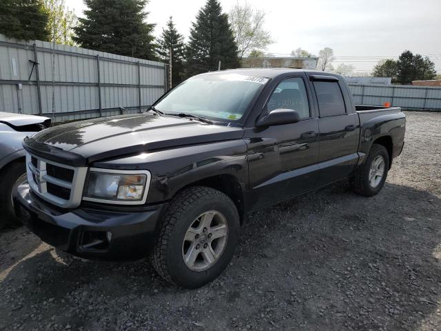 2011 Dodge Dakota SLT