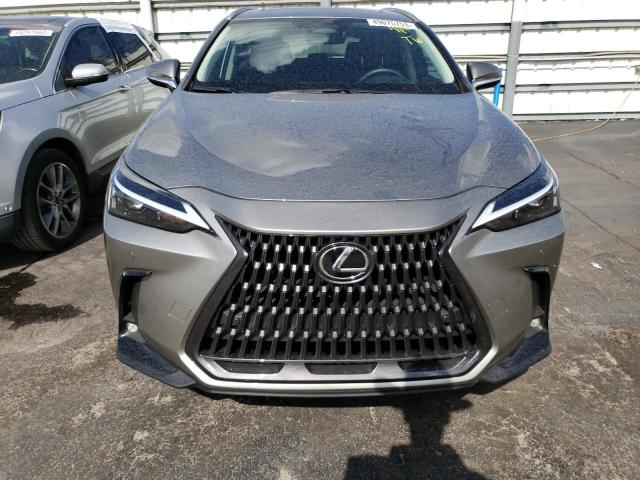 2022 LEXUS NX 250 2T2GDCAZ2NC002813