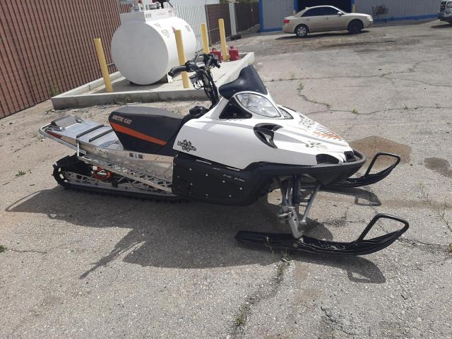 Arctic Cat Snowmobile salvage cars for sale: 2010 Arctic Cat Snowmobile