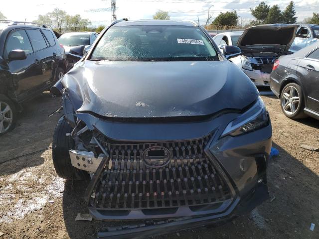 2022 LEXUS NX 250 - 2T2GDCEZ0NC001458
