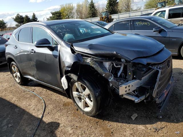 2022 LEXUS NX 250 - 2T2GDCEZ0NC001458
