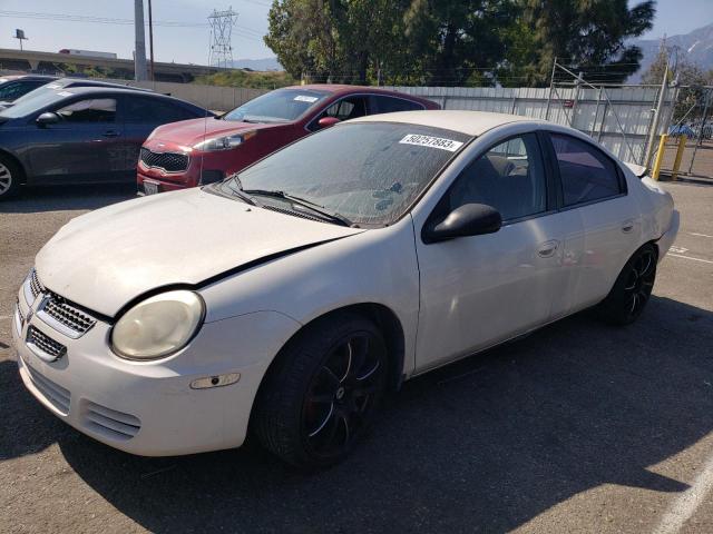 2005 Dodge Neon SXT