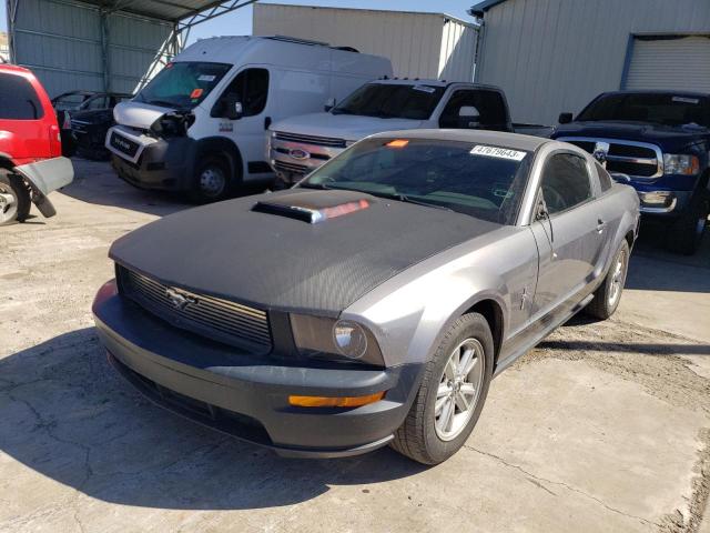 Salvage cars for sale at Albuquerque, NM auction: 2006 Ford Mustang