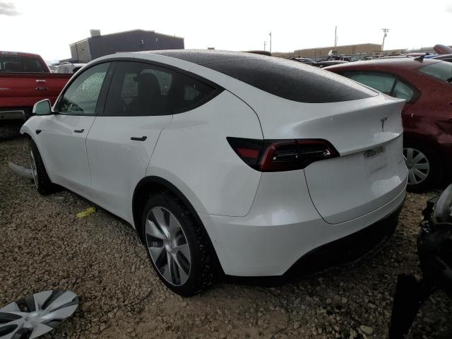 5YJYGDEE4MF181928 Tesla Model Y