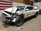 2021 TOYOTA TACOMA DOU - 3TMDZ5BN5MM109375