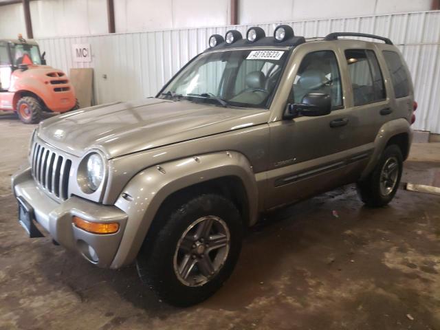 2004 Jeep Liberty Renegade