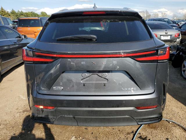 2022 LEXUS NX 250 - 2T2GDCEZ0NC001458